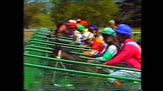 1978 MANAWATU CHALLENGE STAKES - LA MER