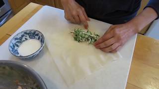 How to roll a spring roll