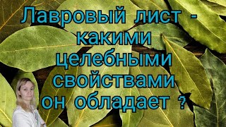 Лавровый лист | 10 причин применять лавровый лист