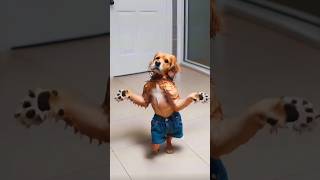 Cute Dog Dance/Papa ne kyu डाँटा 🫢😂 #shorts #ytshorts #dancing dog