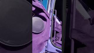 scania purple