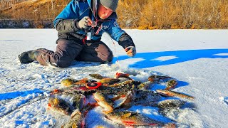 ВОТ ЭТО ЖОР В ЛУНКЕ ❗️ПЕРВЫЙ ЛЁД у ДЕРЕВНИ и ОПЯТЬ ВСЁ ОЧЕНЬ ТОНКО!