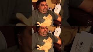 My none cat loving husband🤣 #shortvideo #cat #cuteanimals #kitten #kitten #purr #cutepets #catlove