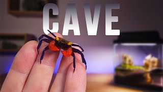 Little crab cave. DIY a cave in a fish tank!