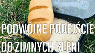 [015] Podwójne podejście do zimnych kleni