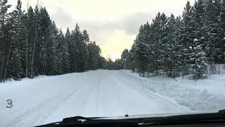 Дорога по лесу. Сказочная, красивая дорога по тайге на севере