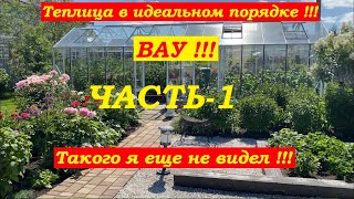 Теплица с томатами и огурцами в идеальном порядке! Вау!!! Такого я еще не видел !!!