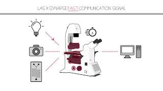 Live Cell Imaging: DMi8 S powered by Synapse