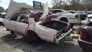 Ripped open '85 Chevy Caprice at Cash N' Carry junkyard in Savannah, GA