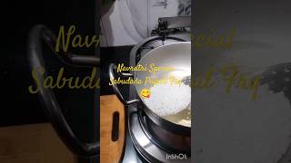 Navratri SPL.Sabudana Papad Fry |Morning & Evening Snacks| Punjabi Kitchen Recipe