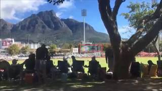 cricket at newlands