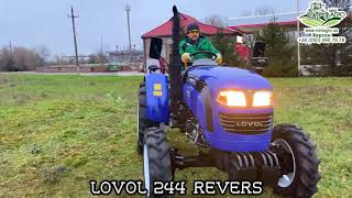 Трактор LOVOL 244 REVERS / ЛОВОЛ 244 С РЕВЕРСОМ - самый практичный трактор за свои деньги.