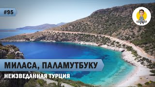 НЕИЗВЕДАННАЯ ТУРЦИЯ - МИЛАСА, ПАЛАМУТБУКУ