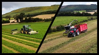 ANOTHER 350 TON OF GRASS IN THE PIT!! Second Cut + Arable Silage 2k24!! Claas Jaguar 970!! Ireland!!