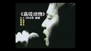 每日音乐推荐｜《高级动物》 窦唯 红磡"摇滚中国乐势力"