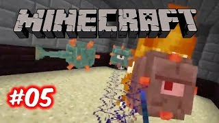 Minecraft: Diversity 2 #05 - The Arena Is Cleaner!