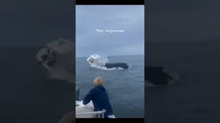 WHALE BREECHES ON A FISHING BOAT! #fishing #whale #boston #boating