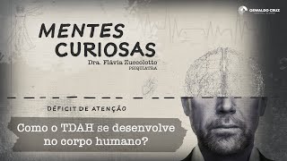 Como o TDAH se desenvolve no corpo humano? l Mentes Curiosas