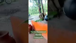 Sarshi Hanumaji Mandir Divay  Darshan UmarPada Forest #hanumanji#siyaram#jalebi#ram #official