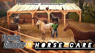 Farming Simulator 20 horse care and feeding straw