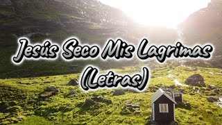 Jesús Seco Mis Lagrimas (Letras) - Oscar Medina