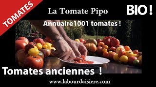 Tomate.2.Nature.Manger.Bio.Santé et Jardin.Dejeuner.Barbecue avec la Tomate Pipo.Hurryken Production