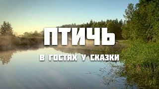 Птичь от истока до устья (ч. 7)