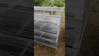 chicks pens galvanized cages fabrication