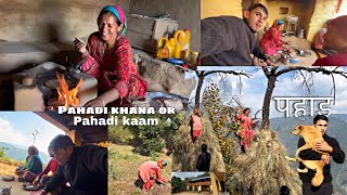 Pahadi lifestyle | Village lifestyle in Pahad | day 1st in Pahad | Garhwal and Kumaon | Uttarakhand