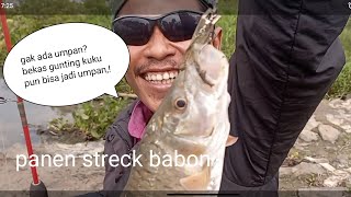 mancing ikan predator pake gunting kuku