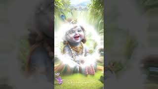 Janmashtami Status || Janmashtami Special Status || Krishna Janmashtami Status Video|| #janmashtami