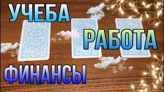 УЧЕБА, РАБОТА, ФИНАНСЫ в ближайшее время