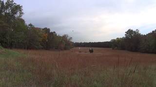 Wade Sun RC helicopter Blade 300x 3D flight hover over pond 2011