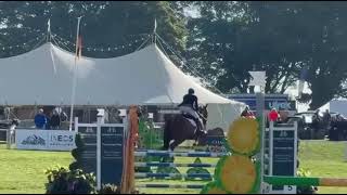 LAMMY CLORISMA INTERMEDIATE EVENT HORSE