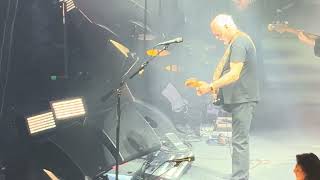 "In Any Tongue" • David Gilmour • MSG/NYC • Nov 4, 2024