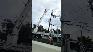 Edison pole replacement