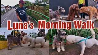 LUNA'S MORNING WALK | Kenn Allen Dee