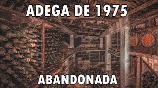 A MAIOR ADEGA ABANDONADA QUE JÁ EXPLOREI INTACTA E ANTIGAS ESTUFAS - URBEX