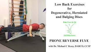 Degenerative Disc Disease, Herniated & Bulging  Disc Exercises- Prone Reverse Flye