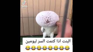 البنت اذا كتمت السر يومين 😂😂