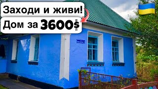 🇺🇦 Заходи и живи! Дом в селе за 3600$ Продажа недвижимости за копейки! Всё есть Уютное тихое село!