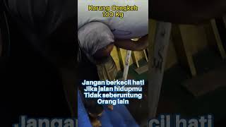 Karung cengkeh beratnya 100Kg