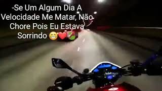 O melhor vídeo que você vai ver hoje❤