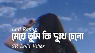 Meye Lofi Remix | Ayub Bachchu (Lofi Remix) | মেয়ে তুমি কি দুঃখ চেনো | SR Lofi Vibes