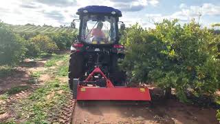 TRIDENT tractor with Flail Mower 2