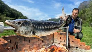 Cooking a Sturgeon That Produces the Most Expensive Caviar in the World Called Beluga Caviar