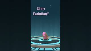 Shiny Yungoos to Shiny Gumshoos Evolution - Pokemon Go