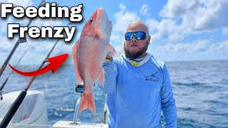 The Fish Are Hungry | Red Snapper Offshore Fishing