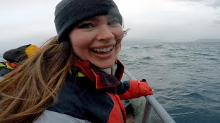 Whale Watching near Dalvík, Iceland - November 2022