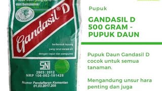 Unboxing dan Temukan Pupuk Daun Gandasil D 500 gram